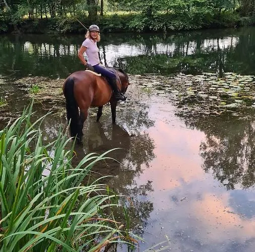 Chateau La Rochette Oda ve Kahvaltı