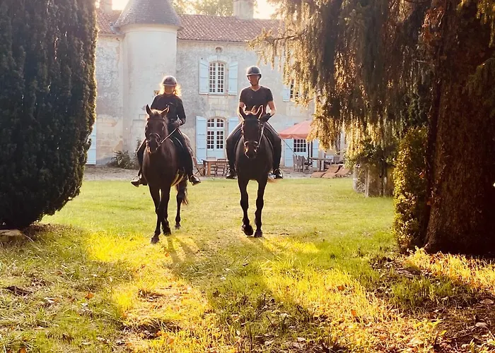 Chateau La Rochette Oda ve Kahvaltı Lisle